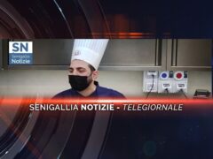 senigallia notizie telegiornale