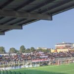 Curva Vigor