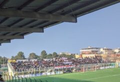 Curva Vigor