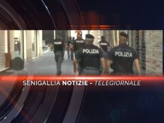 senigallia notizie telegiornale