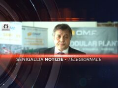 senigallia notizie telegiornale