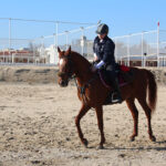 Cavalli sulla spiaggia di Senigallia - In sella in spiaggia - Foto di Fedele Ruvio