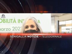 senigallia notizie telegiornale