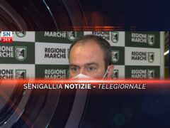 senigallia notizie telegiornale