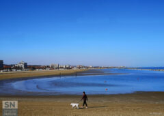 "Passeggiando con il cane a Senigallia..." - Foto di Marcello Moroni