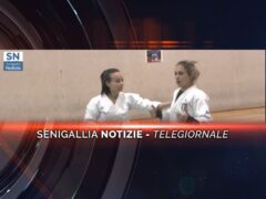 senigallia notizie telegiornale