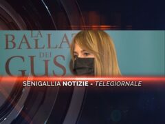 senigallia notizie telegiornale