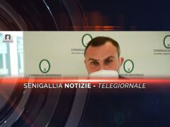 senigallia notizie telegiornale
