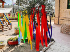 L'albero della Pace realizzato dalle bambine e dai bambini della scuola dell'infanzia - Istituto Comprensivo Corinaldo