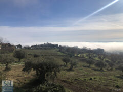 Le colline dell'interno senigalliese -Scapezzano - Foto di Paola Pongetti