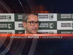 senigallia notizie telegiornale