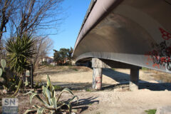 Ponte Zavatti - Foto di Fedele Ruvio