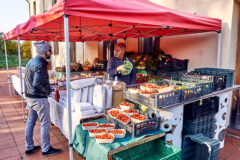 Mercato Bio Mezza Campagna - Prodotti biologici locali