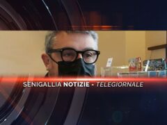 senigallia notizie telegiornale