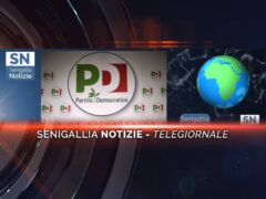 senigallia notizie telegiornale