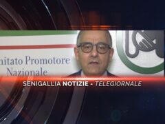 senigallia notizie telegiornale