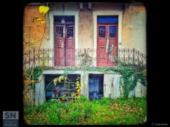 Vite passate - Foto di Claudio Cremonesi