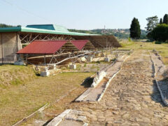 Scavi archeologici nell'area dell'antica città romana di Suasa