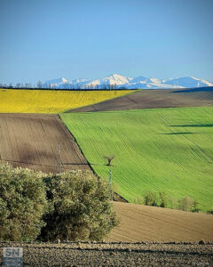 I Sibillini da Montignano - Foto di Nicola Gianluca