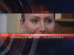 senigallia notizie telegiornale