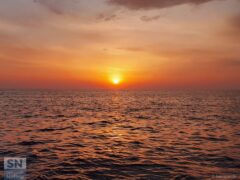 Il sole che sorge sul mare di Senigallia - Mare all'alba - Foto di Denise Casagrande