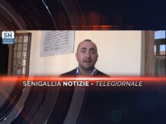 senigallia notizie telegiornale