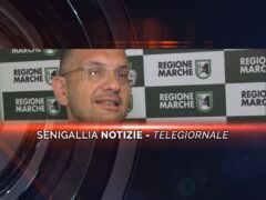 senigallia notizie telegiornale
