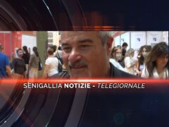 senigallia notizie telegiornale