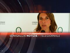 senigallia notizie telegiornale