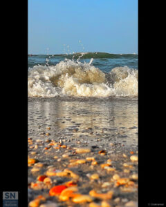 Respirando il mare - Foto di Claudio Cremonesi