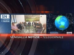 senigallia notizie telegiornale