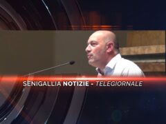 senigallia notizie telegiornale