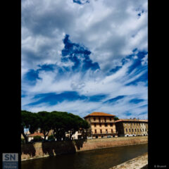 Ombre nel Vento - Foto di Barbara Brusoni