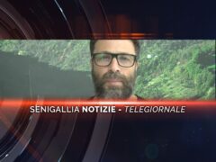 senigallia notizie telegiornale