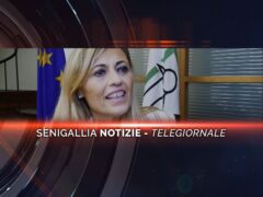 senigallia notizie telegiornale