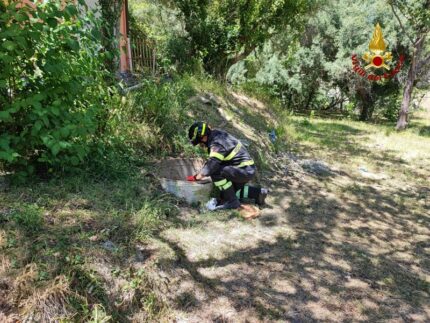 Bambina di Arcevia caduta in un pozzo a Cingoli