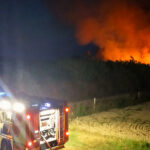 Incendio nel canneto alla foce del fiume Cesano
