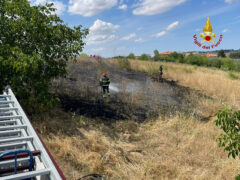 Incendio sterpaglie a Osteria di Serra de' Conti