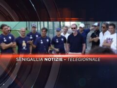 senigallia notizie telegiornale