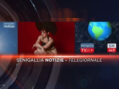 senigallia notizie telegiornale