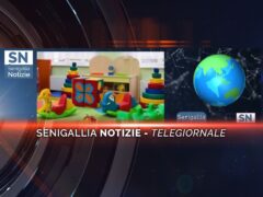 senigallia notizie telegiornale