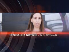 senigallia notizie telegiornale