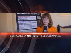 senigallia notizie telegiornale