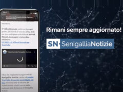 Screenshot dal VideoGiornale di Senigallia Notizie