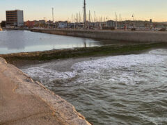 Barriera di detriti e sporcizia ostruisce la foce del fiume Misa