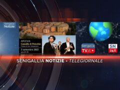 senigallia notizie telegiornale