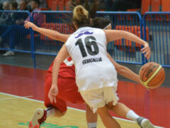 MyCicero Basket 2000 Senigallia