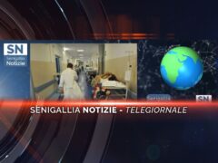 senigallia notizie telegiornale