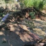 Alluvione 2022