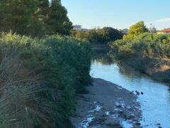 Fiume Misa